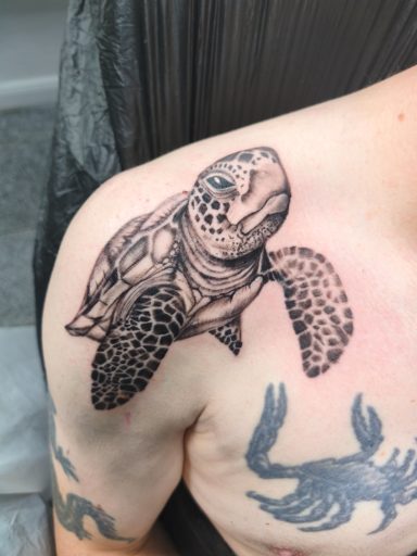 Beauty and Color Tattoo, Schildkröte